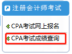 注册会计师成绩查询